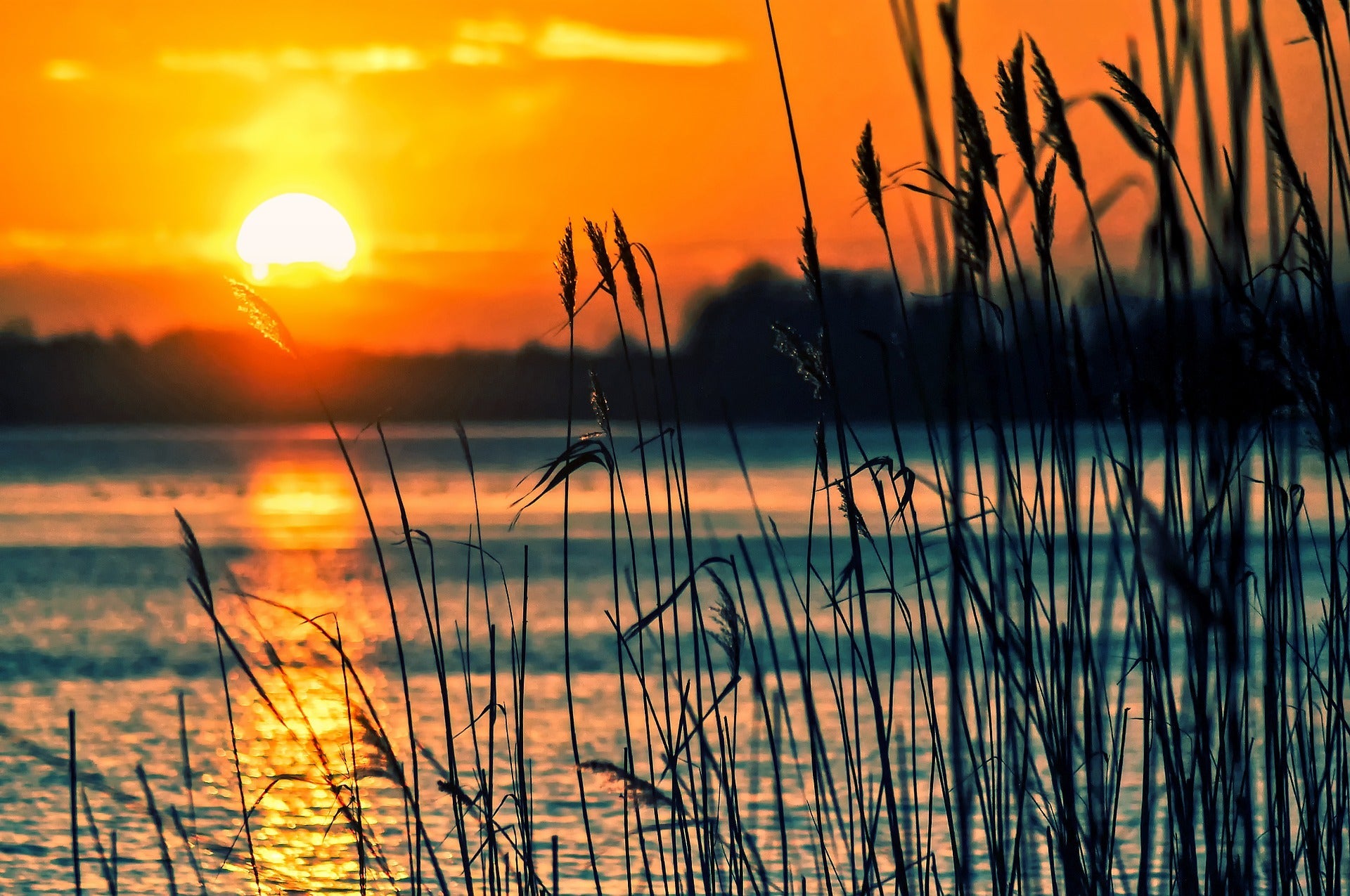 Ce qu'il faut savoir sur le sexe dans l'eau